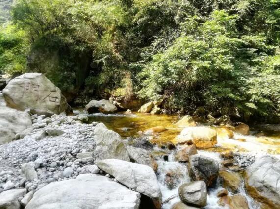 1808091533808578316576.jpg 2.jpg