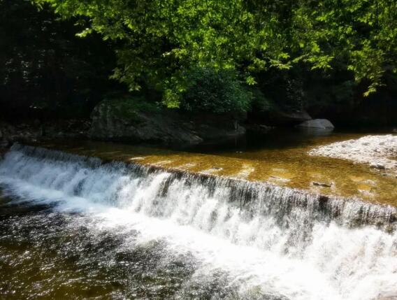 1808091533808588561736.jpg 3.jpg