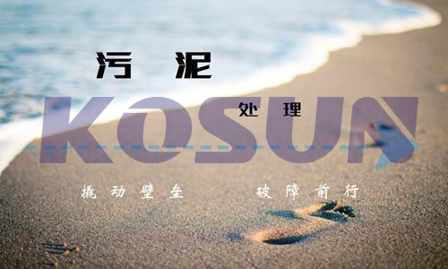 污泥處理“卡”在關(guān)口？污泥處理產(chǎn)業(yè)鏈亟待整合