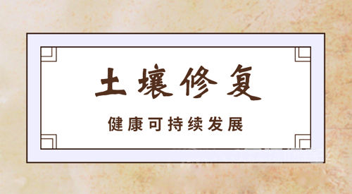 干好土壤修復(fù)精細(xì)活 這幾大要素缺一不可