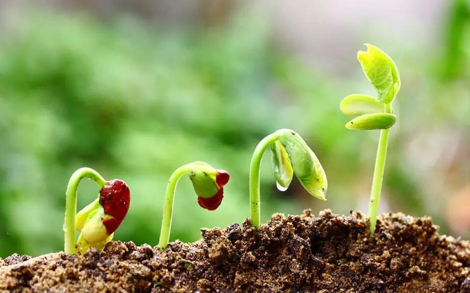 市場空間高達萬億元 土壤修復前景廣闊