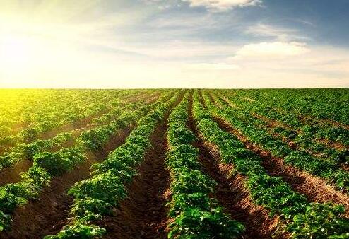 土壤修復(fù)市場(chǎng)：環(huán)保產(chǎn)業(yè)的最后一塊“蛋糕”