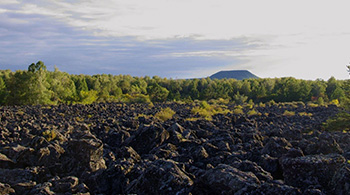 土壤修復(fù)與治理