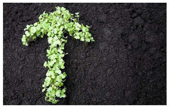 污泥處理處置行業(yè)發(fā)展前景分析 千億規(guī)模市場靜啟