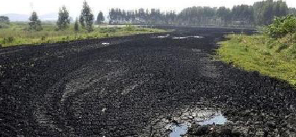 20181019/5bc99193856c8.jpg 5bacca3b600e7 (1).jpg