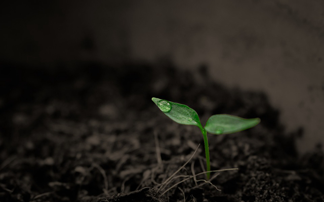 土壤修復(fù)市場：“十三五”1.3萬億，長遠6萬億