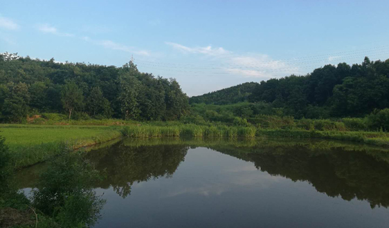  環(huán)保2019年度策略：一場輪回 終點(diǎn)亦起點(diǎn)