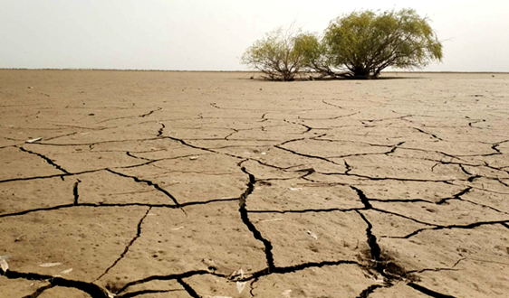 2018年土壤修復(fù)行業(yè)市場競爭格局與發(fā)展前景分析
