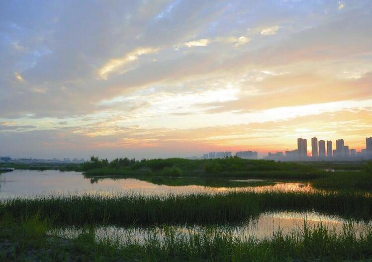 污泥處置路漫漫 突圍路在何方？