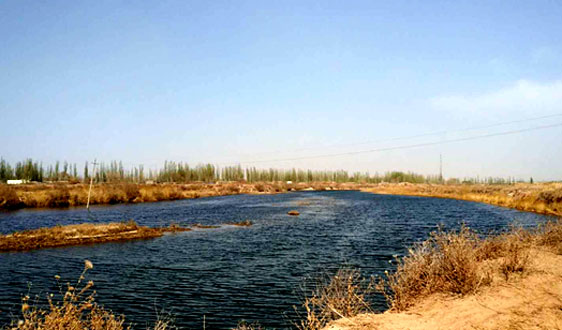 千億級紅利難收割？污泥處置在寒冬中艱難“轉(zhuǎn)身”