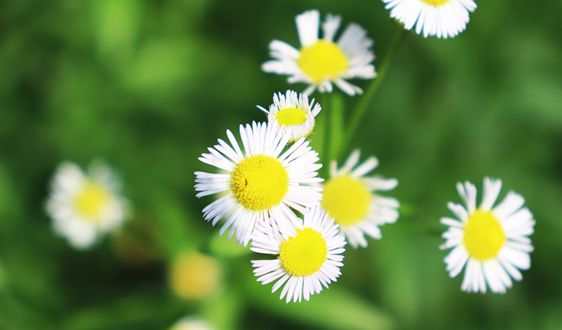 關(guān)于“十四五”大宗固體廢棄物綜合利用的指導(dǎo)意見